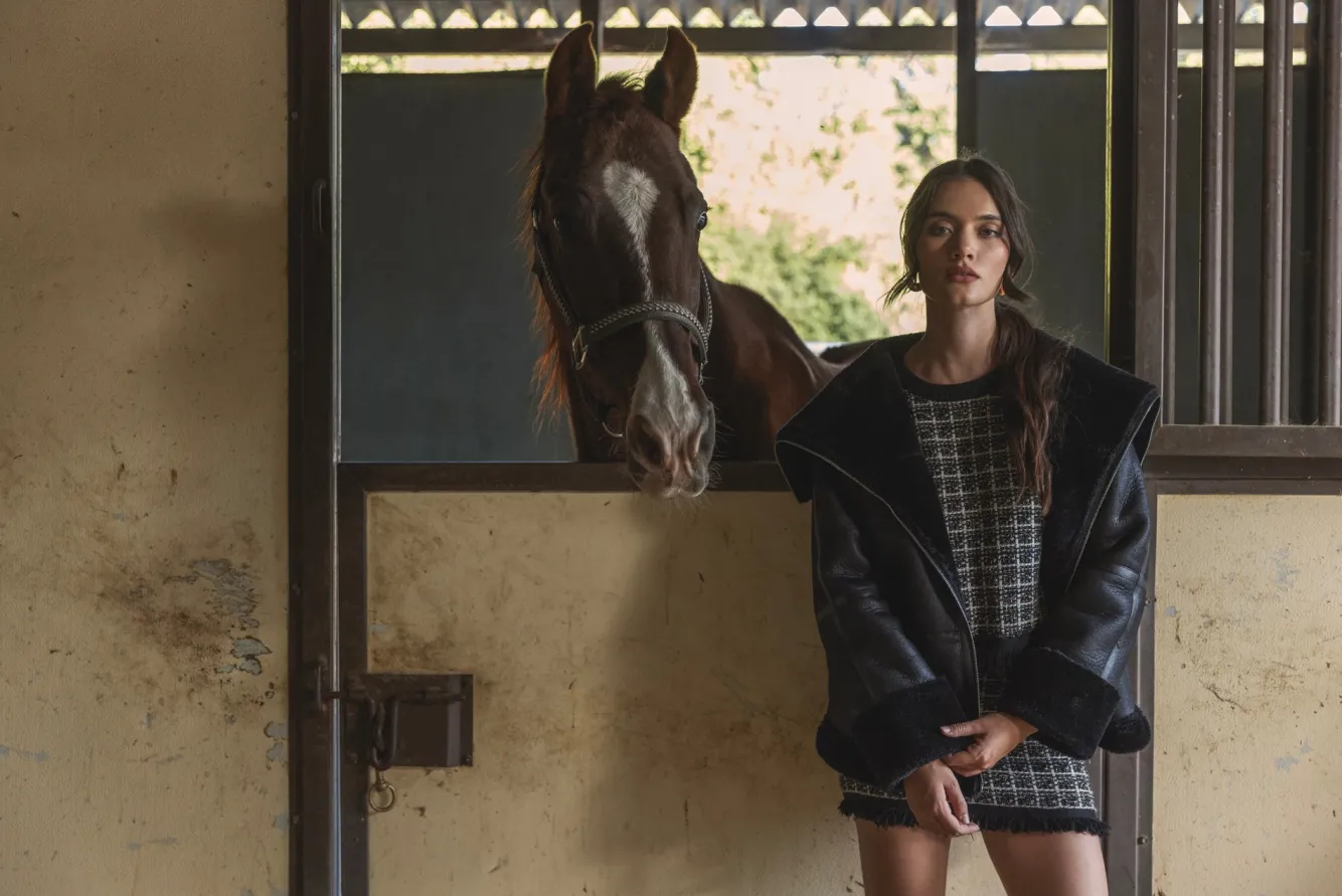 Line & Dot AVALON SWEATER- Knits